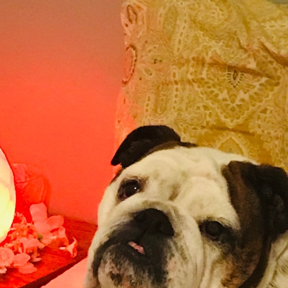 Meet your Posher, Rebecca - Picture 1 of 1